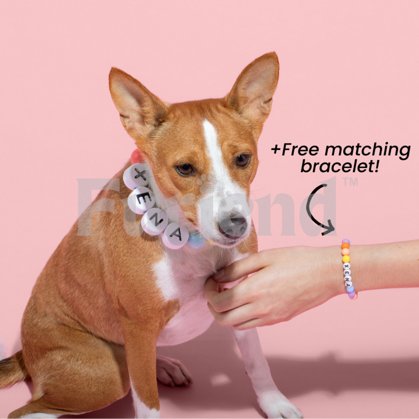 Mymemory x furiend™ colier chien
