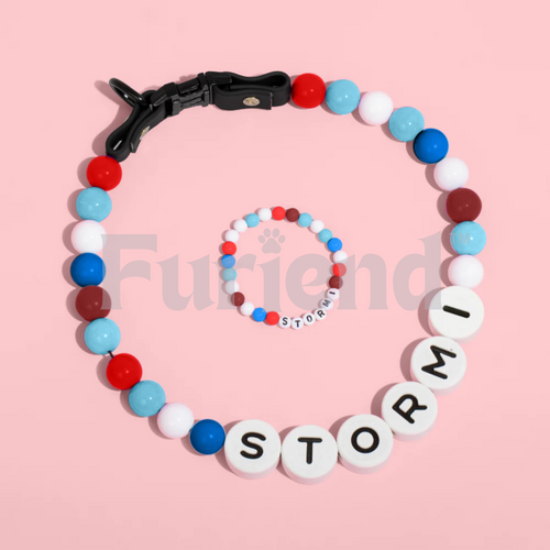 Mymemory x furiend™ colier chien