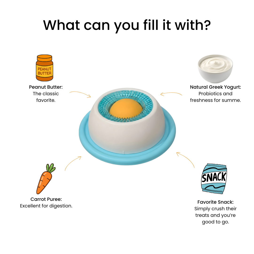 Mymemory bowl d'animal