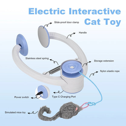 Mymemory jeux de chat